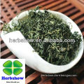 100% Natural Gynostemma pentaphylla Herb Tea